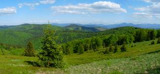 Beskidy 2010.06.05  6