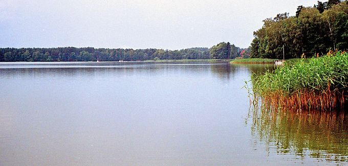 Mazury