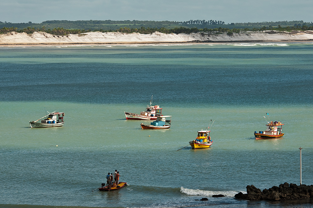 Poranek na Baia Formosa