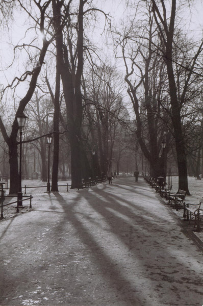 Kraków Zimą