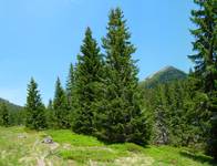 Tatry 2010.06.10  1