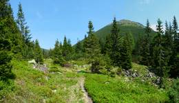 Tatry 2010.06.10  2