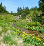 Tatry 2010.06.10  3