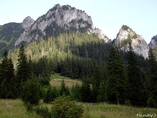 Tatry