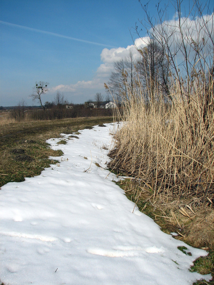 Mleczna rzeka