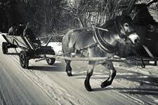 retro - prosze oceniać punktowo w komentarzach; 1975 rok