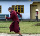 sikkim running monk