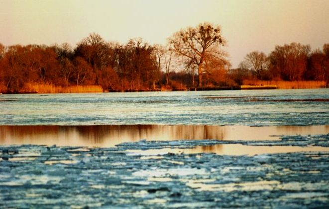 Sylwester nad Odrą