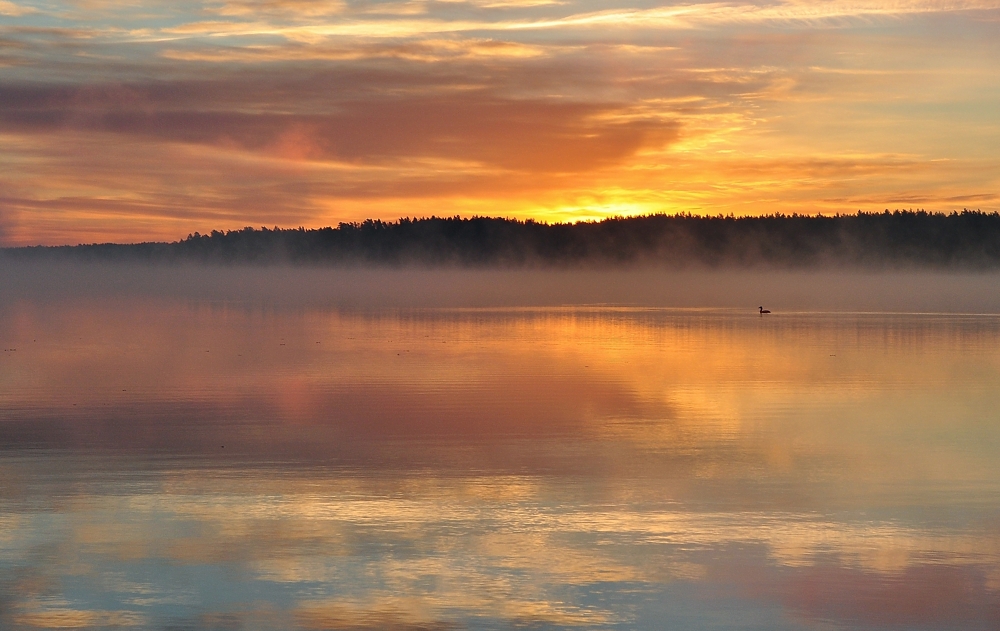 Wschód nad Sajnem