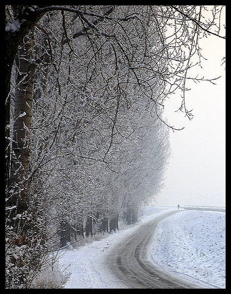 loneliness of winter