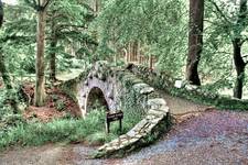 Tollymore forest park-Foley's Bridge