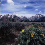 Grand Teton, WY