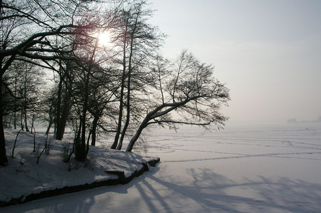 zimowe sloneczko