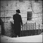 Haredi