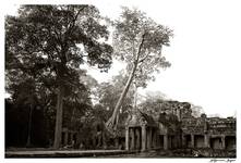 angkor