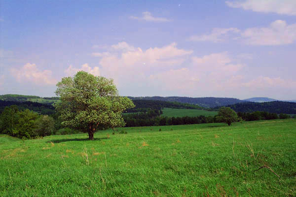 przede mną droga