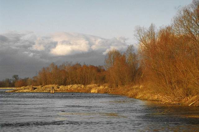 wisła,tarchomin