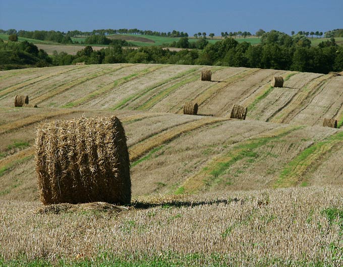 Przyjdzie walec i wyrówna