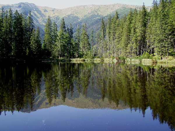 Jeziorko Smreczyńskie Tatry