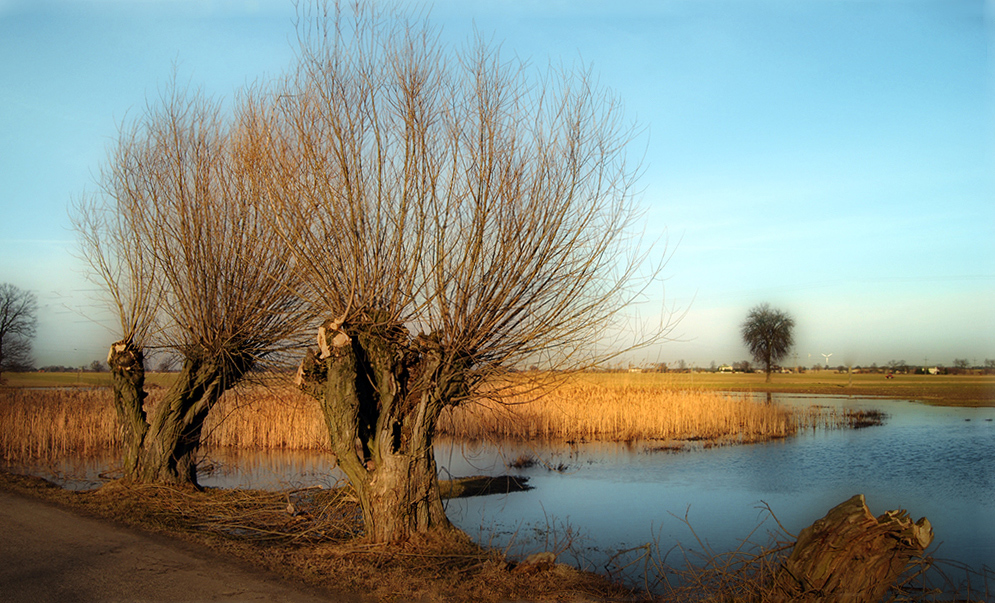 przedwiośnie