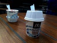 MC Flurry