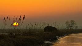 sunrise over the river