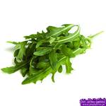 Rucola