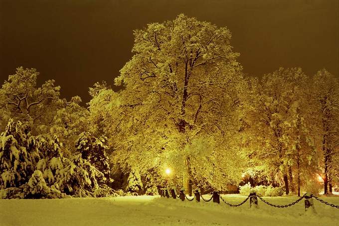 Park Pszczyński cd..