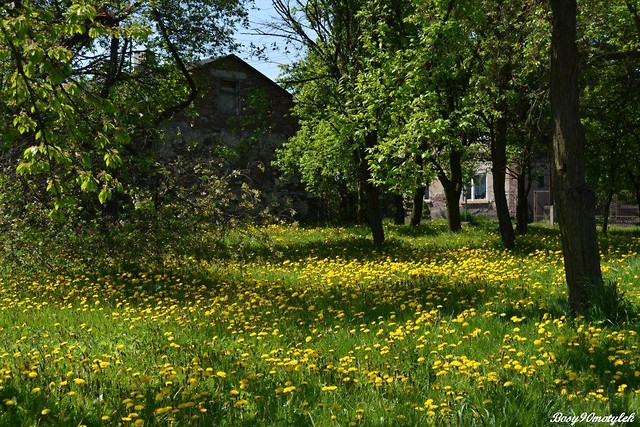 Miejsce ćwiczeń