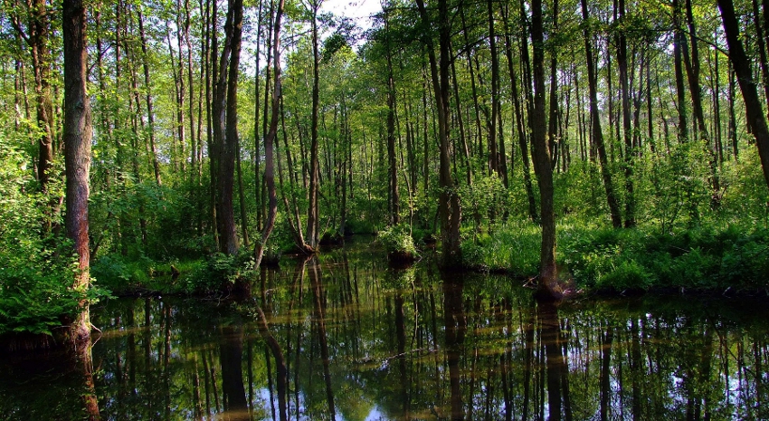 Nad rzeczką