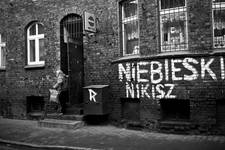 \"Niebieski Nikisz\"