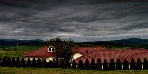 ...za oknem zawierucha, z szybą walczy mucha, przy kominku drzemie pies...