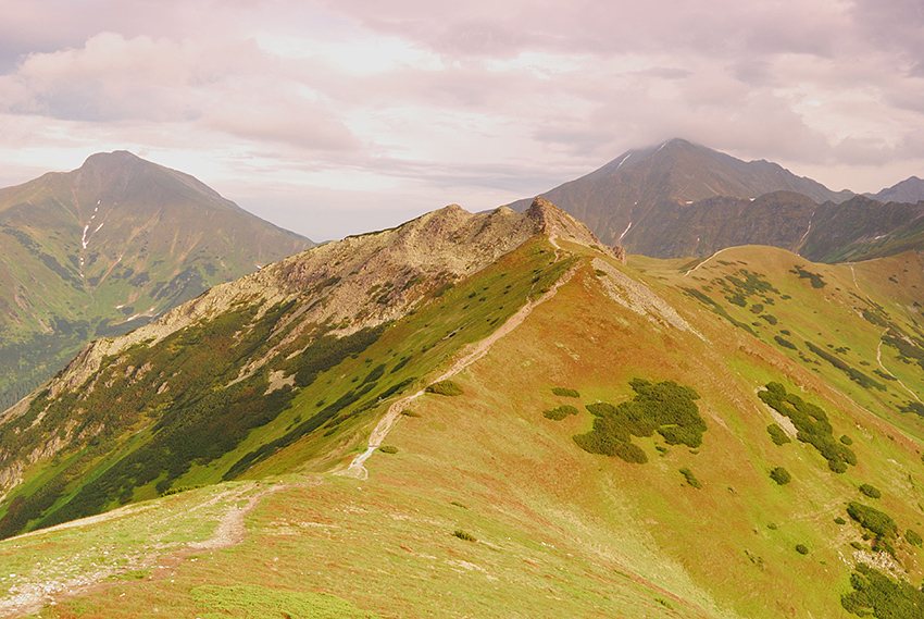 tatry