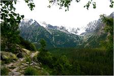 Tatry