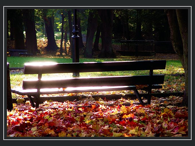 park jesienią # 4