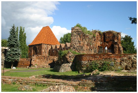 Toruń moje miasto #1