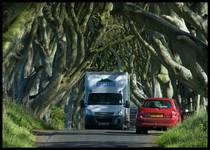 The Dark Hedges