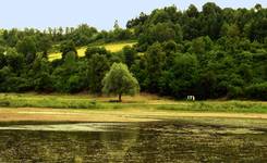 Bieszczady....