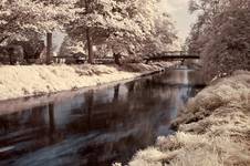 Bridge in Kings Park