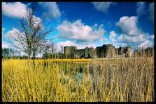 Roscommon Castle...