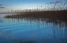 Lough Ennell...