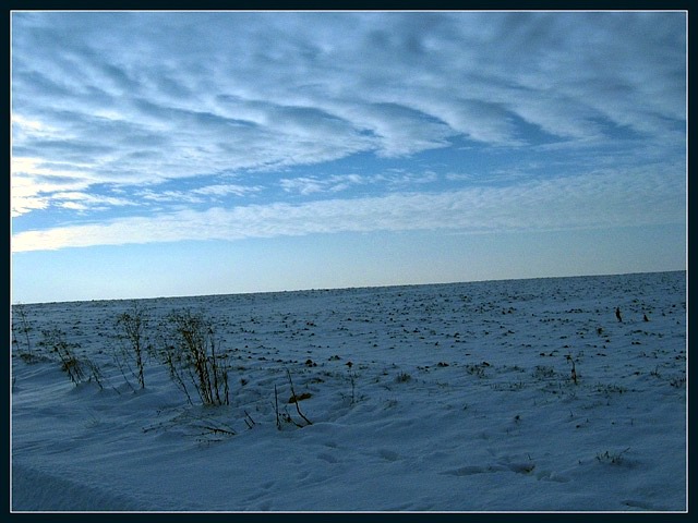 Blue scenery...