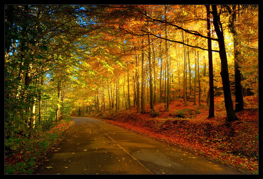 Golden Alley...