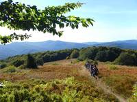 Bieszczady