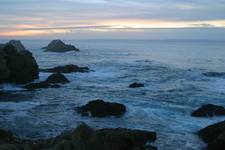 Point Lobos