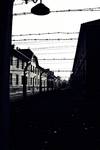 Auschwitz2