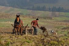 Pieniny - poranna rozgrzewka w Sromowcach Wyżnych