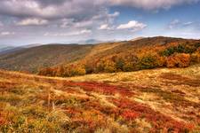 Bieszczady w purpurze...