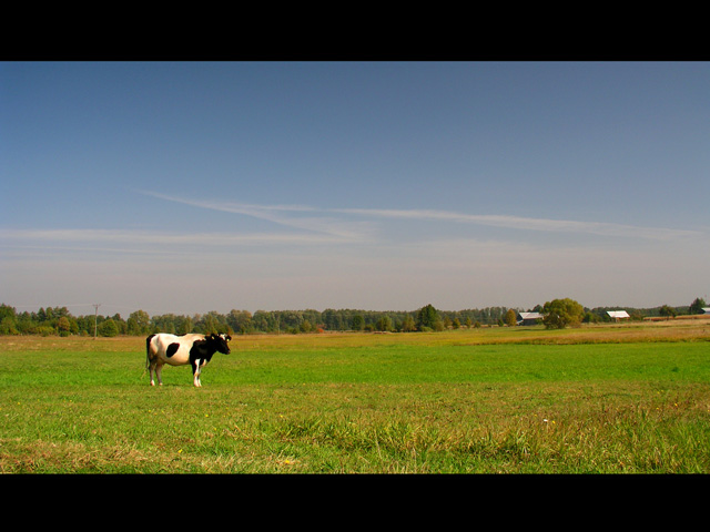 Podlasie #2