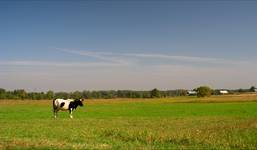 Podlasie #2